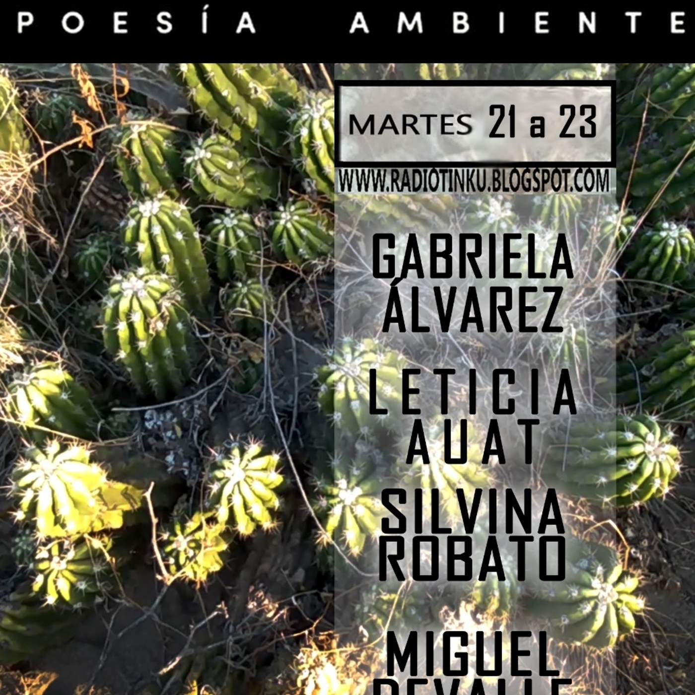 Poesía Ambiente