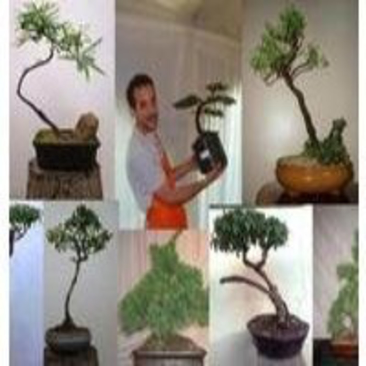 Alternativa Extraterrestre - 18/06/2014 – Alejandro Lullo (Bonsai Pampeano) episode artwork