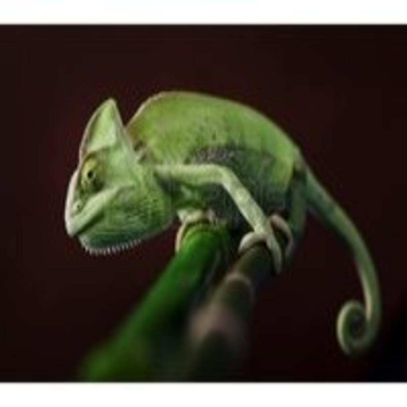 Los Sueños de Darwin