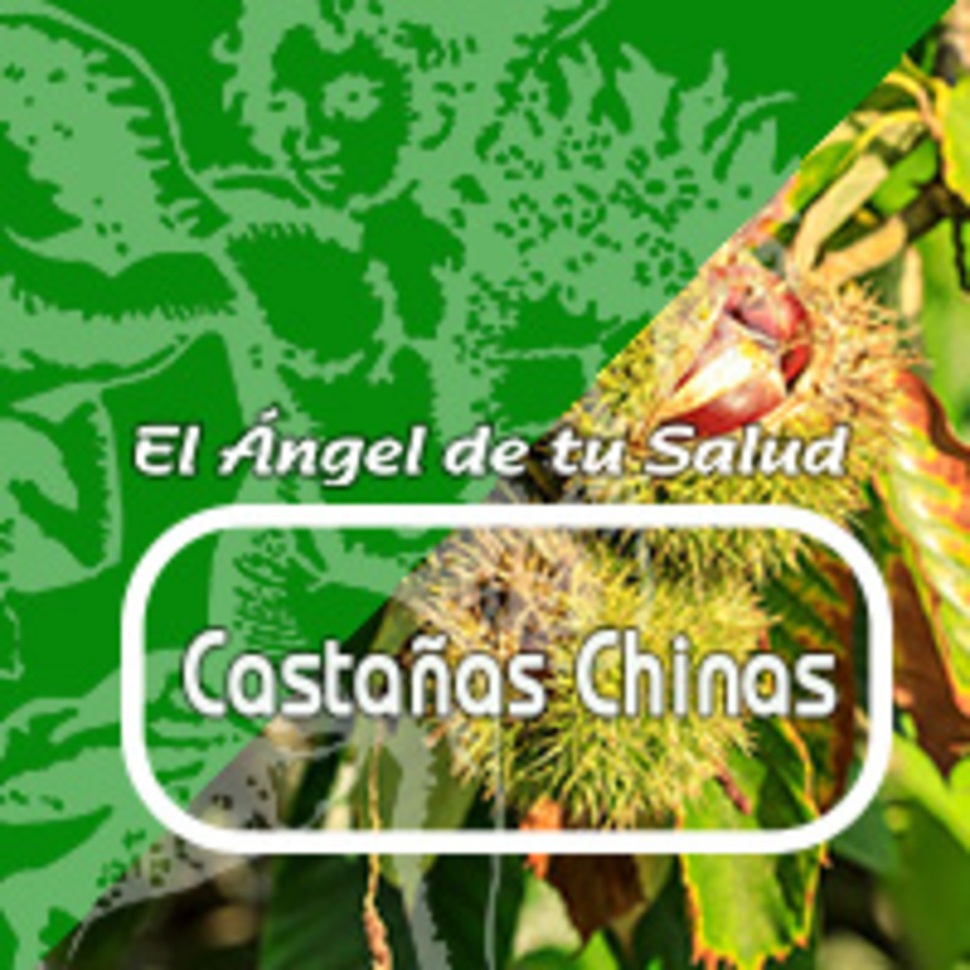 El Angel de tu Salud - CASTAÑA CHINA ***