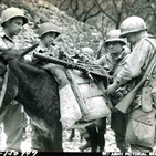 Anécdotas de la Segunda Guerra Mundial en La Noche de Adolfo Arjona: Animales en la SGM
