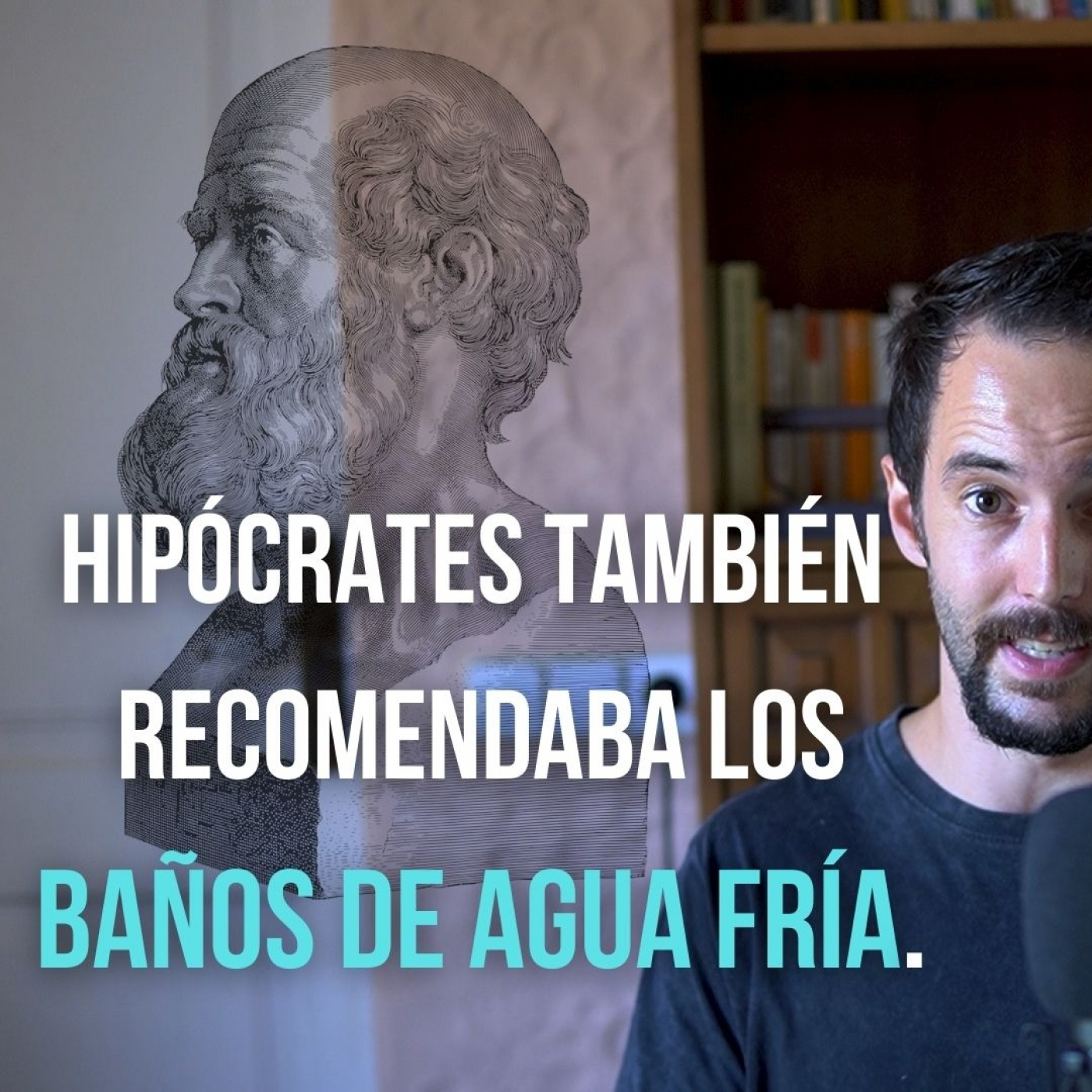 Huellas Horméticas