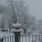 Dulce Lágrima Boreal