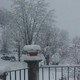 Dulce Lágrima Boreal