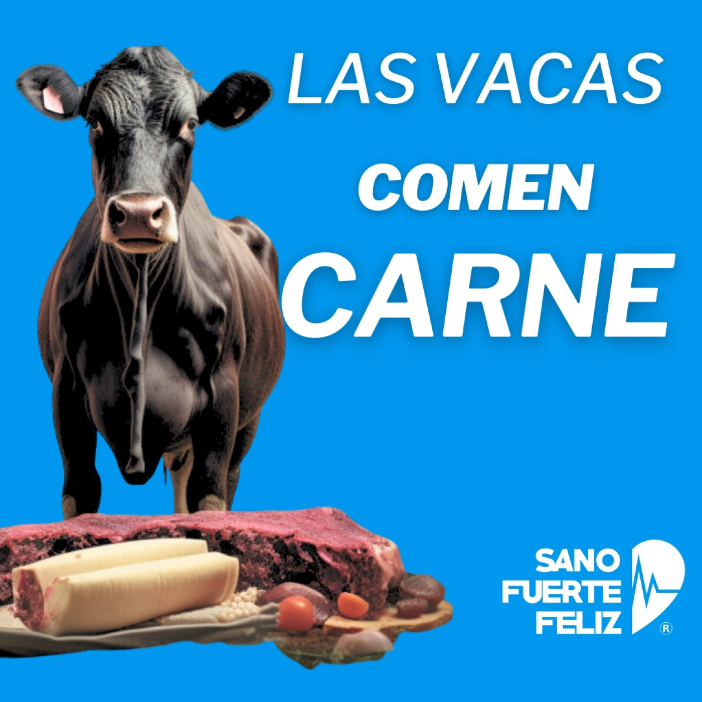 Las VACAS NO SON VEGANAS - COMEN CARNE
