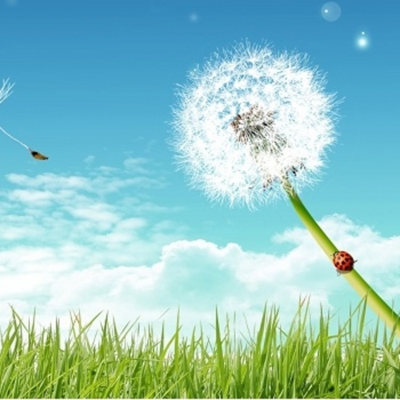 Sé tu luz | Aracely Valdez