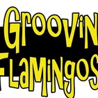 Carretera Perdida 65 - Groovin' Flamingos, Baila o Muere