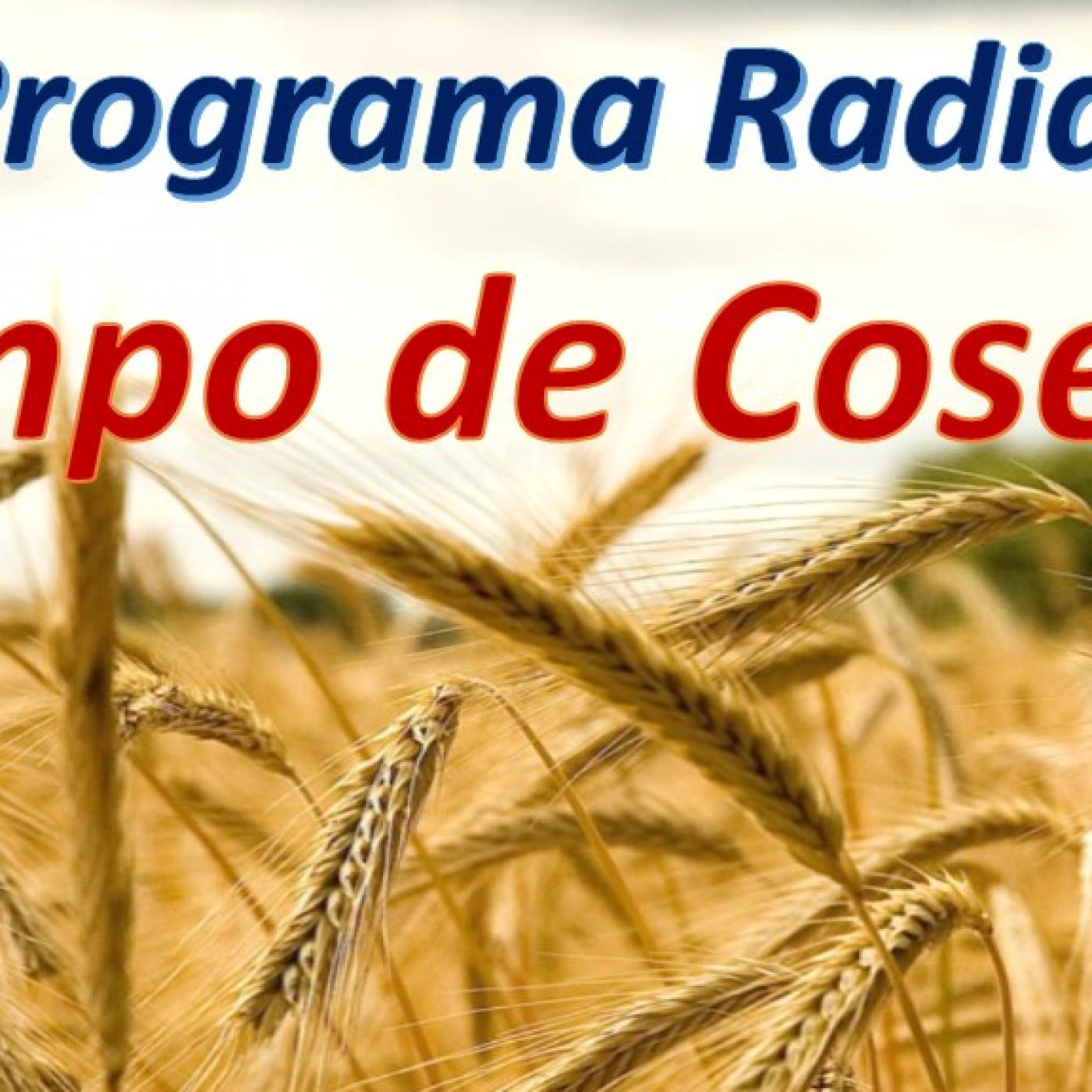 Podcast de Jose Hernan Rodriguez Martinez