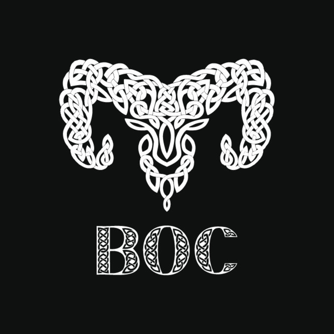 1X17 Camí del Rock - Entrevista a Boc episode artwork