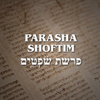 Parashá Shoftim - 2019
