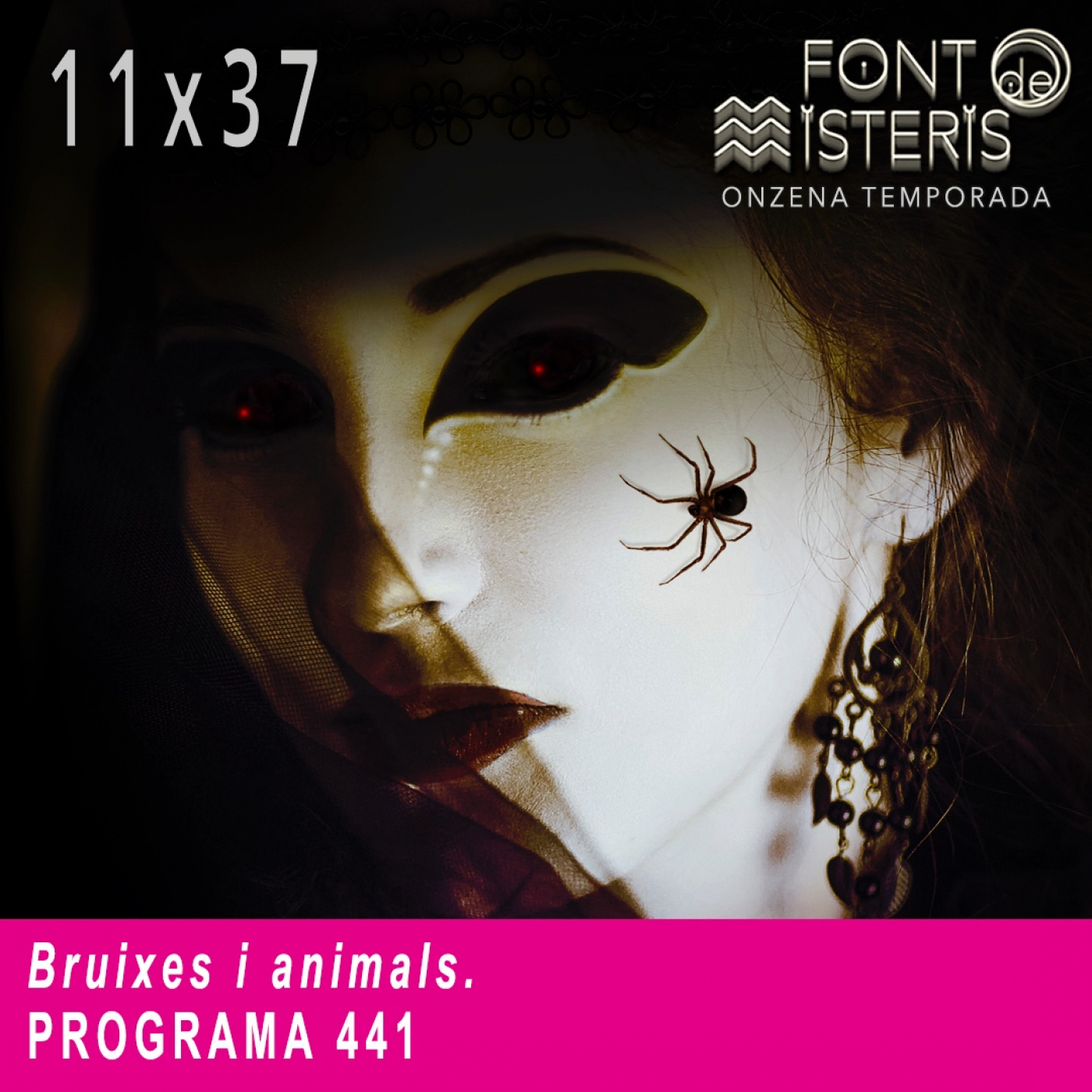 FONT DE MISTERIS T11P37- Bruixes i Animals -Programa 441| IB3 Ràdio