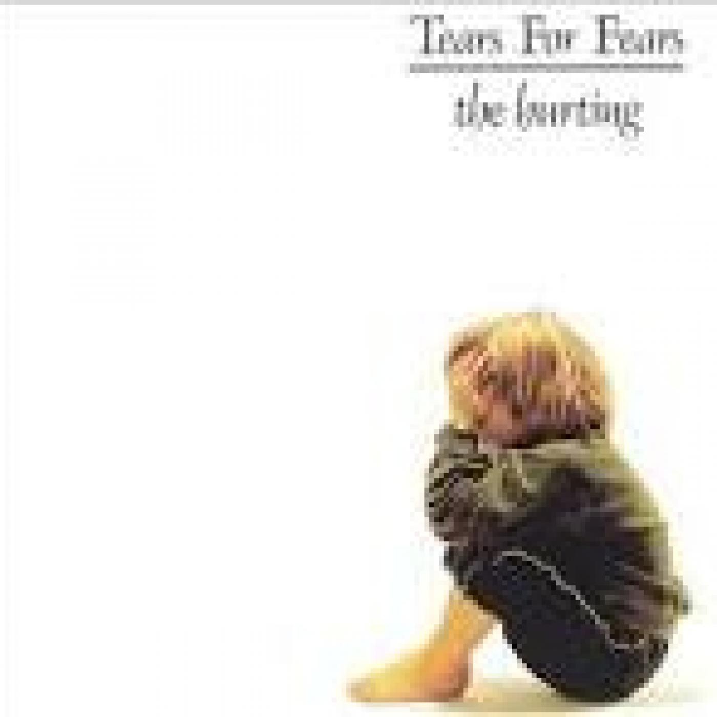 Tears For Fears-Esencial