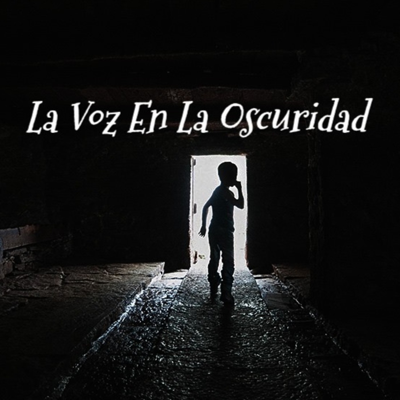 La Voz en la Oscuridad