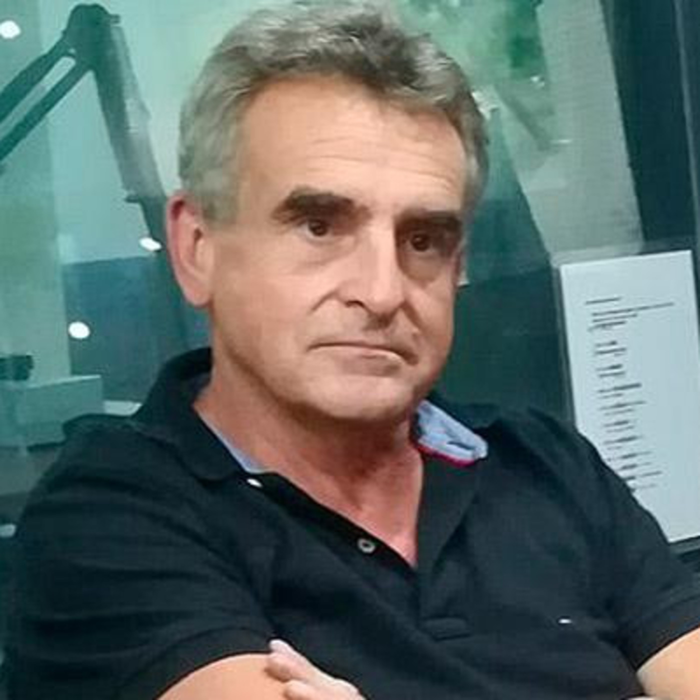El Despertar de los Zonzos