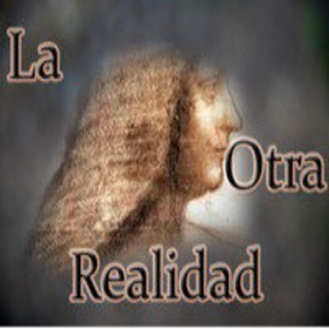 Podcast de Victor Manuel Nepomuceno Caste