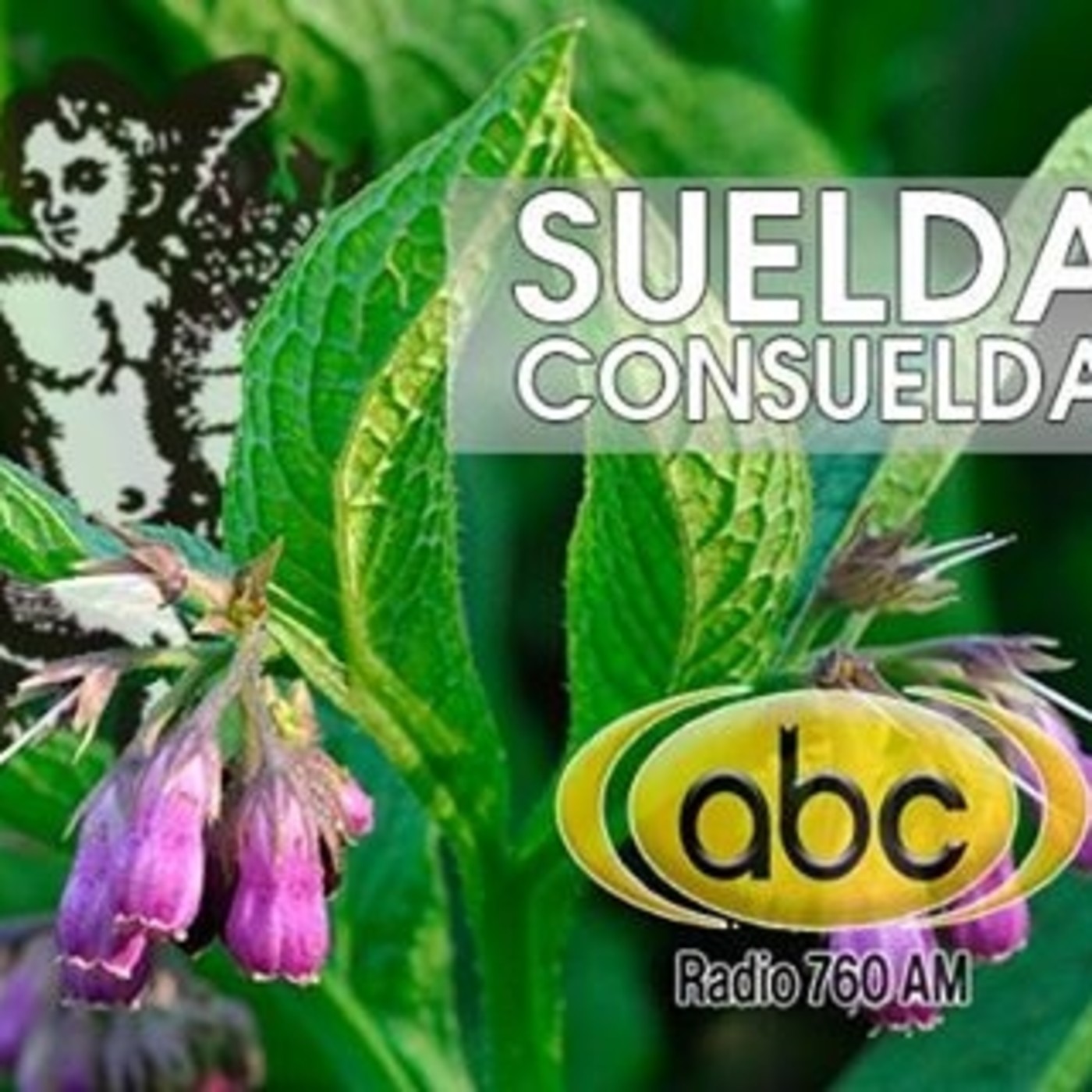 El Ángel de tu salud- SUELDA CONSUELDA episode artwork