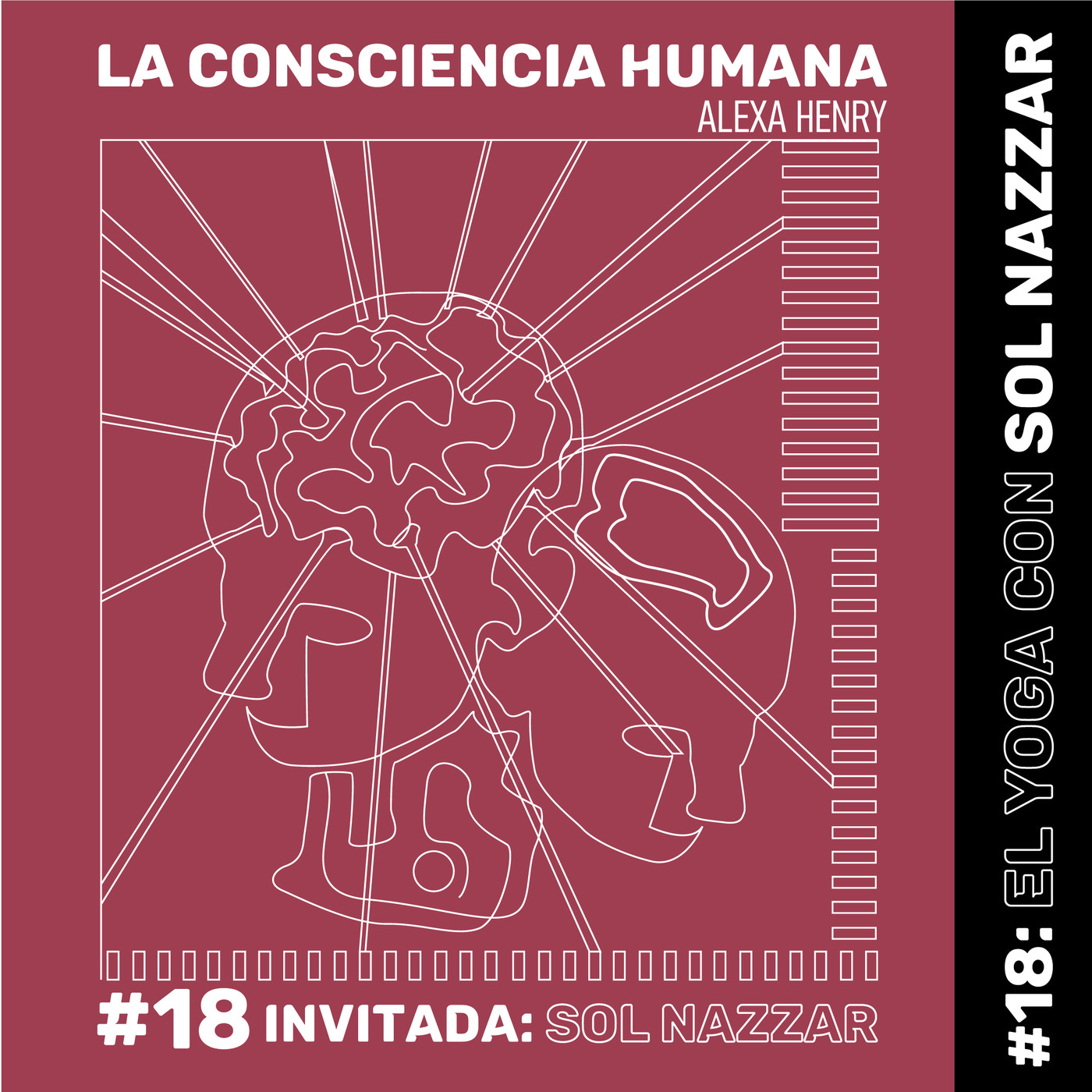 LA CONSCIENCIA HUMANA