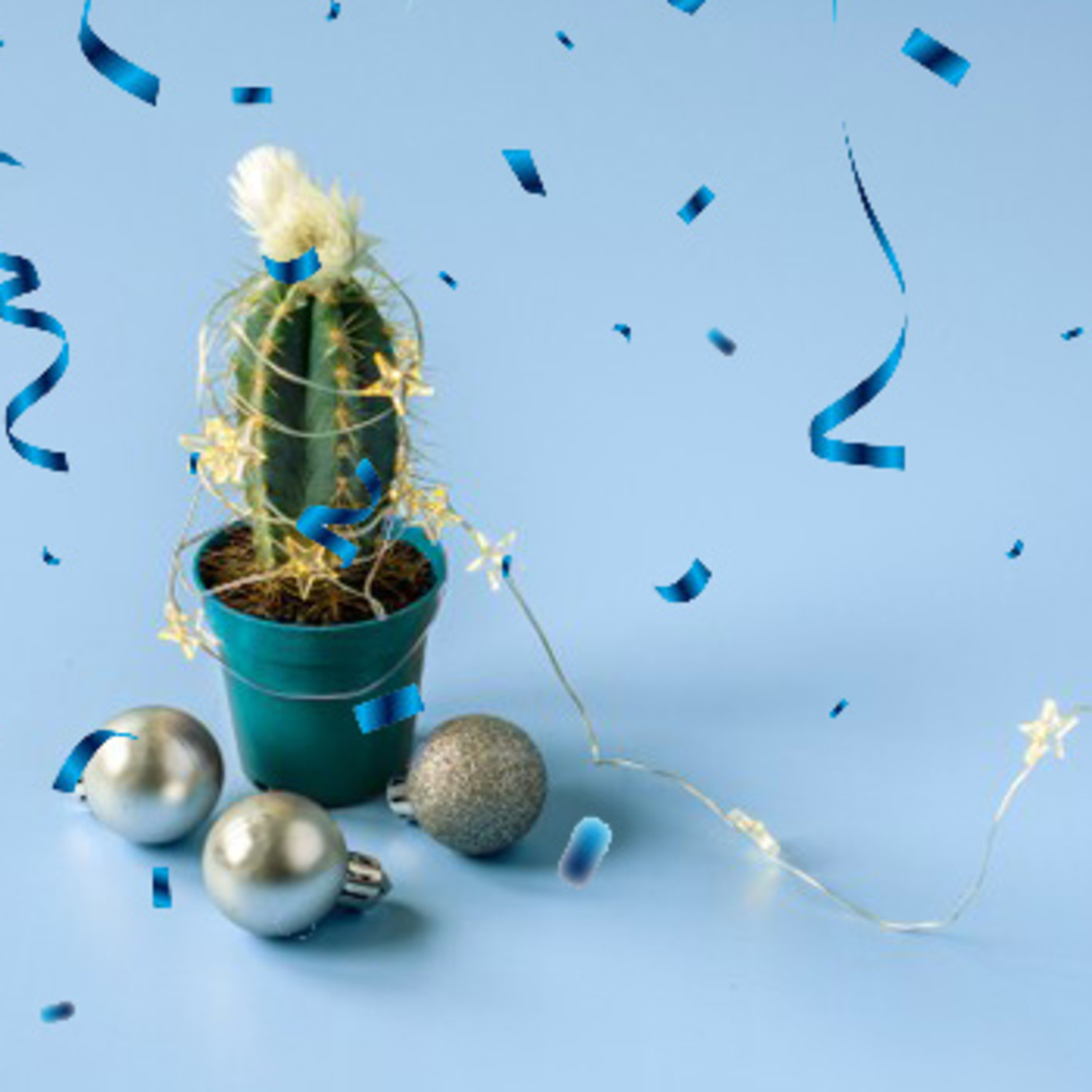 Cactus Confetti