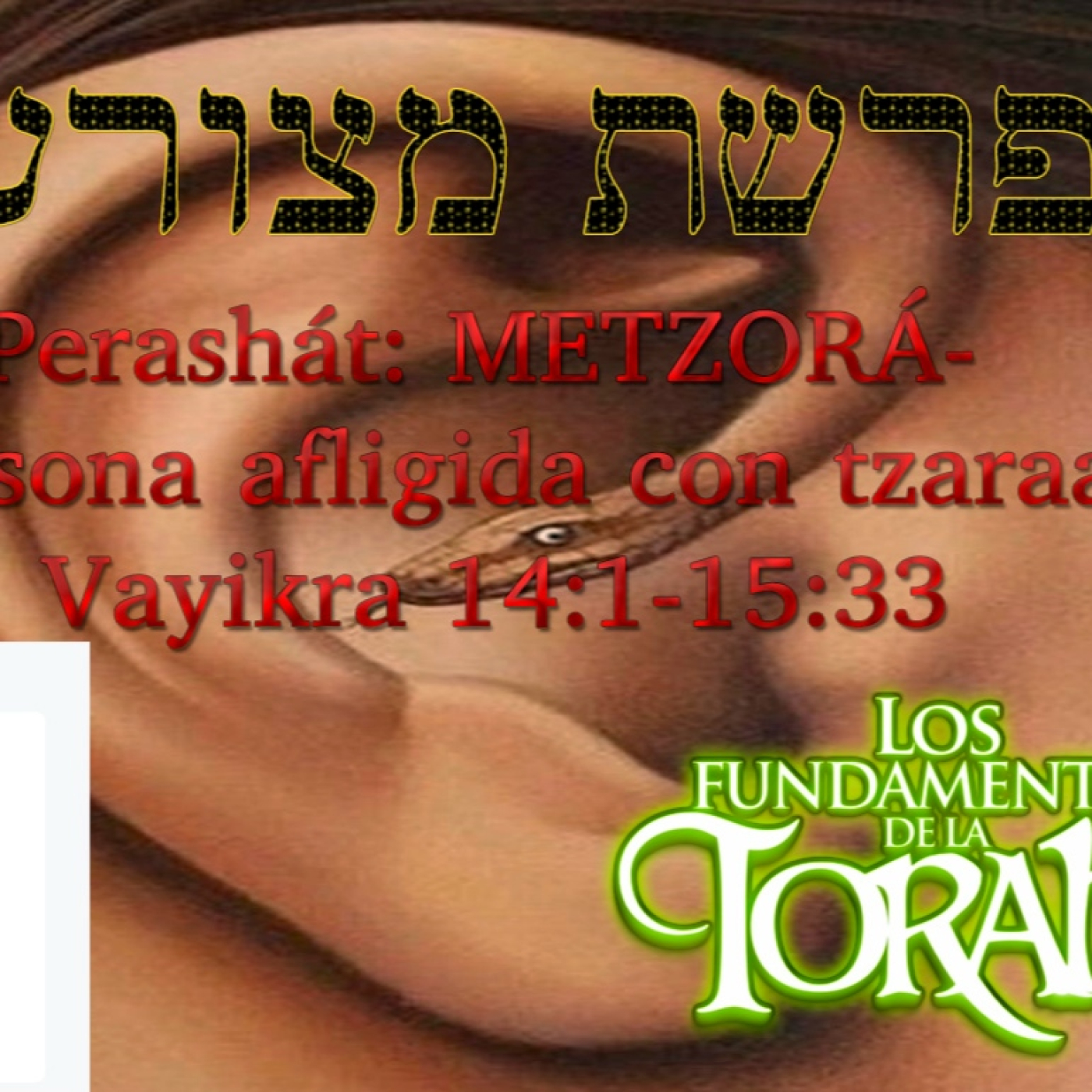 Parashat Metsorá