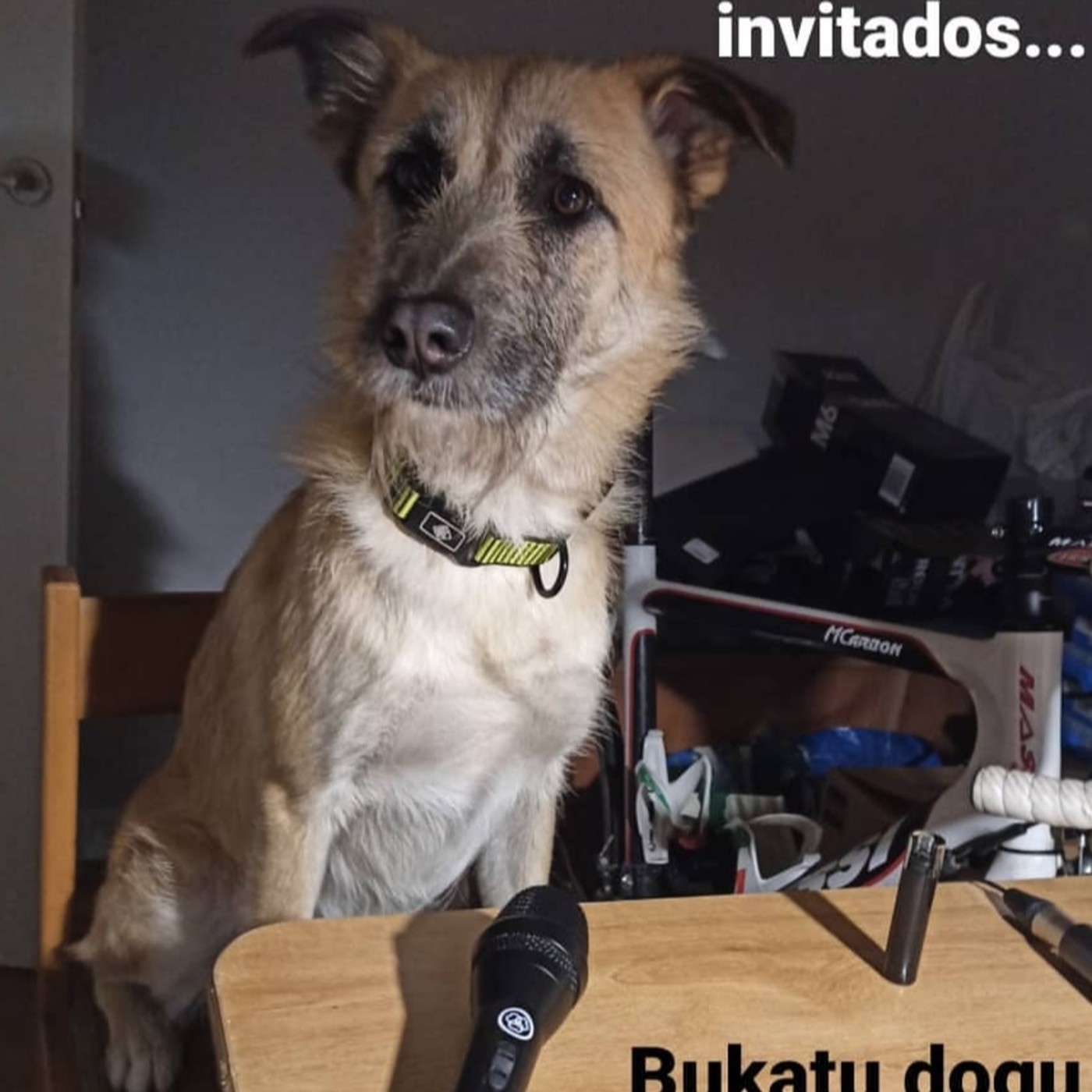 Tenemos que hablar
