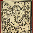 embed image