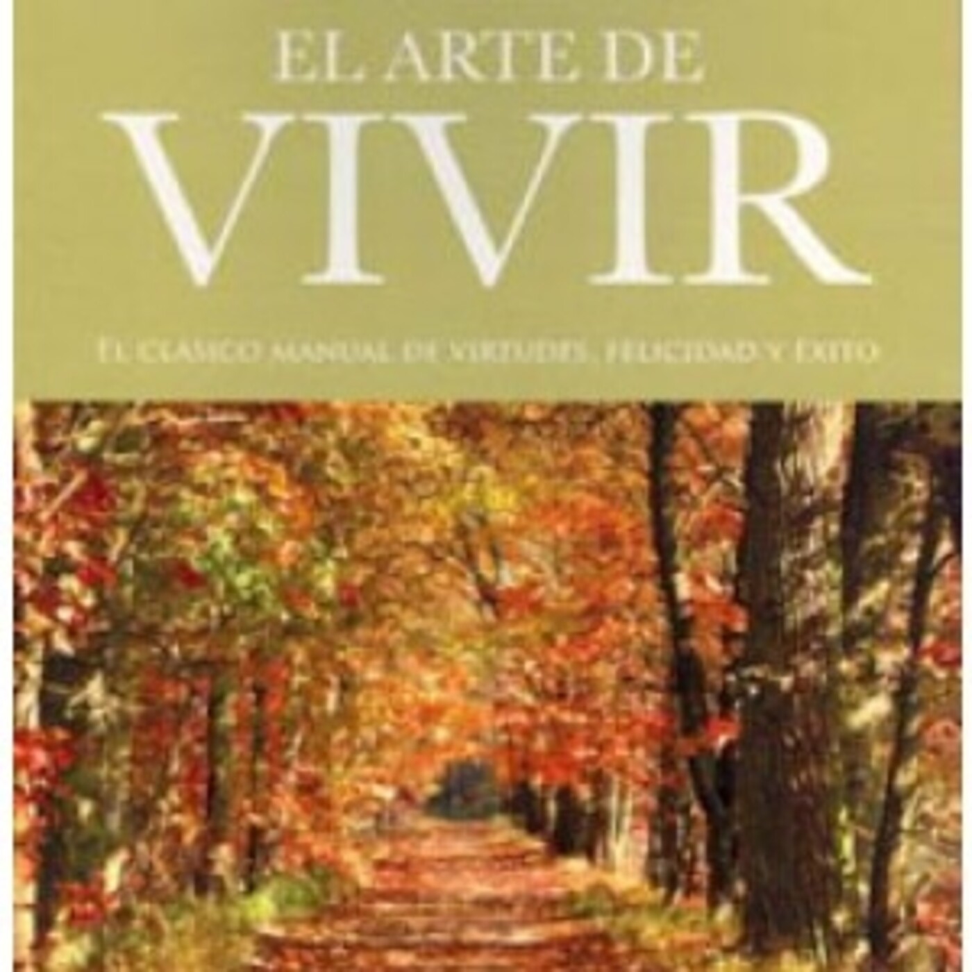 Salvador Mingo -Conocimiento Experto-