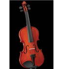 embed image
