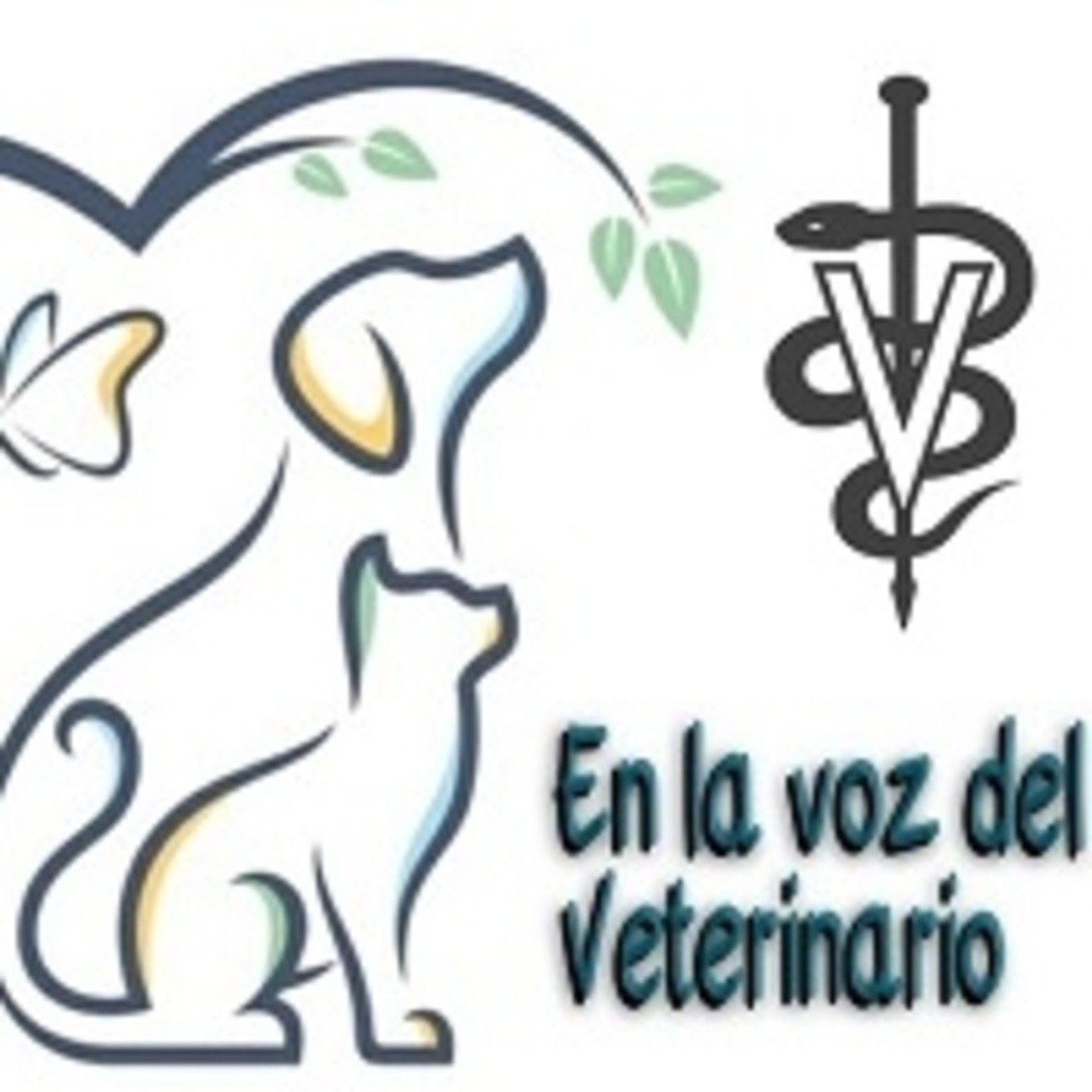 En la Voz del Veterinario 250521 p139. episode artwork