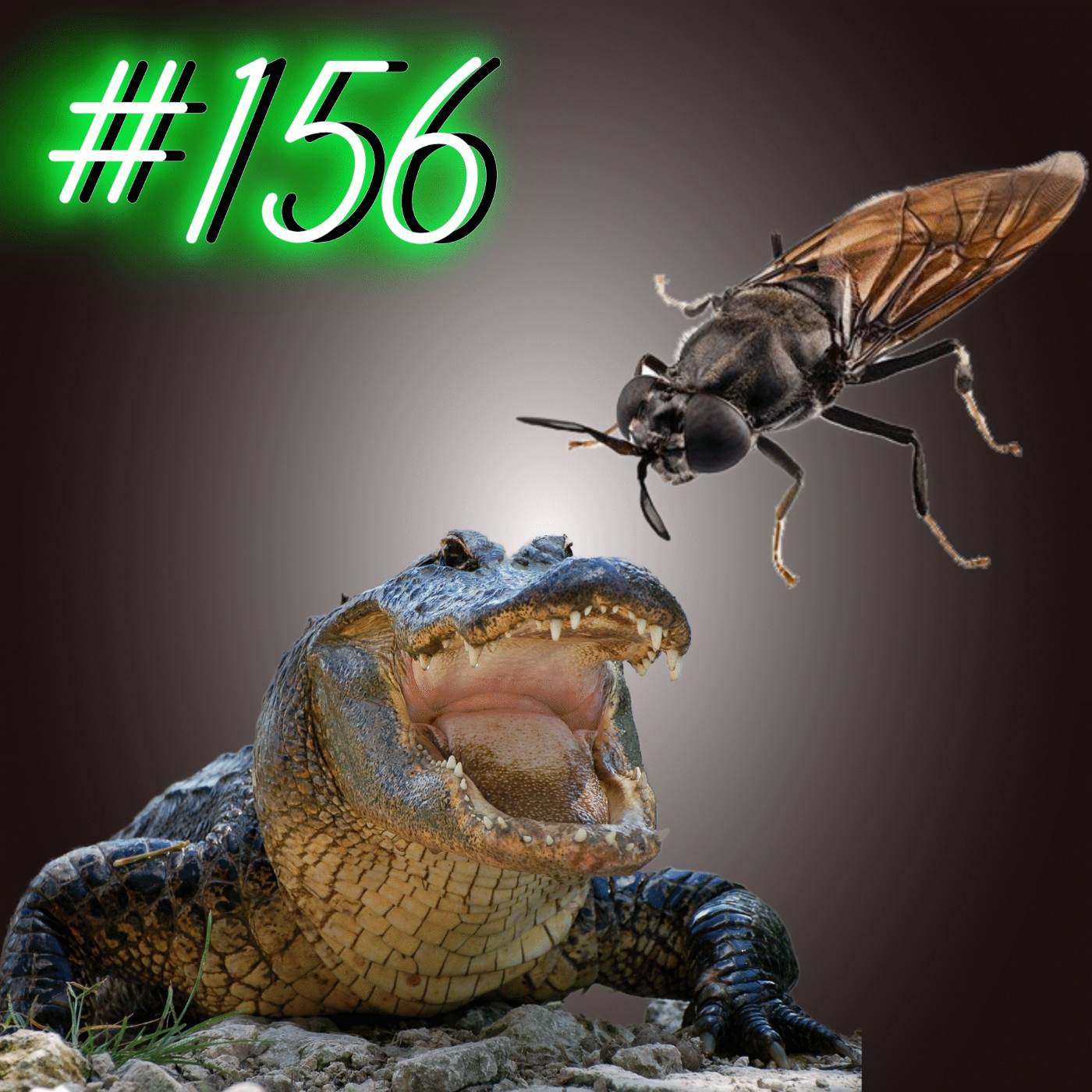 Caimanes por el Mundo
