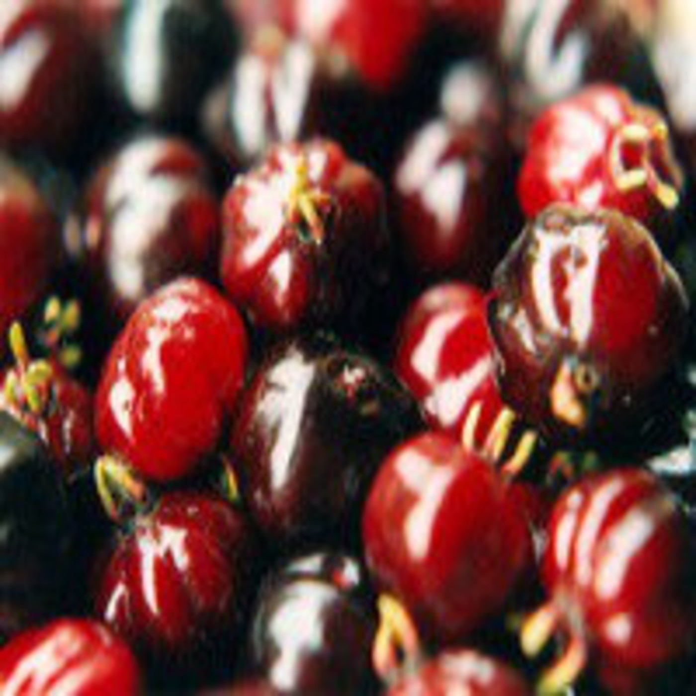 Podcast de Soberanía alimentaria y comuni