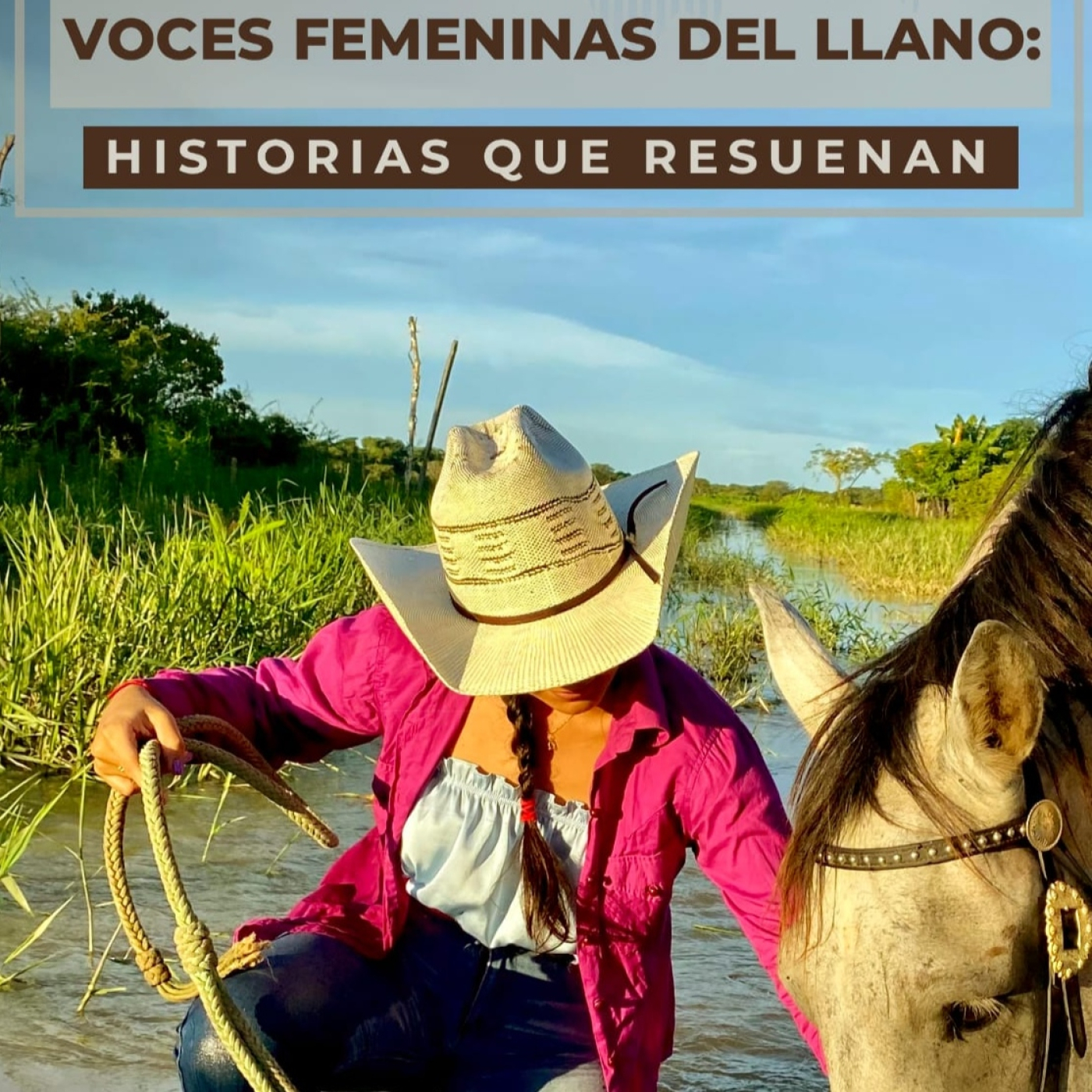 Miradas y Voces