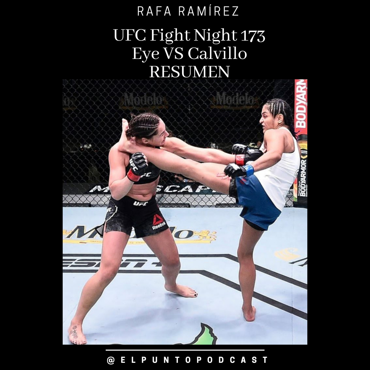 UFC Fight Night 173 Eye vs Calvillo RESUMEN episode artwork
