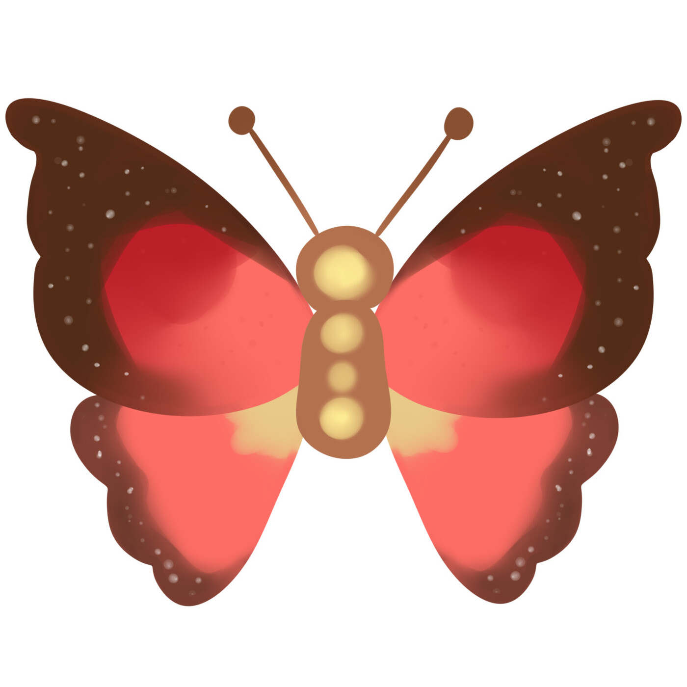 Bolboreta