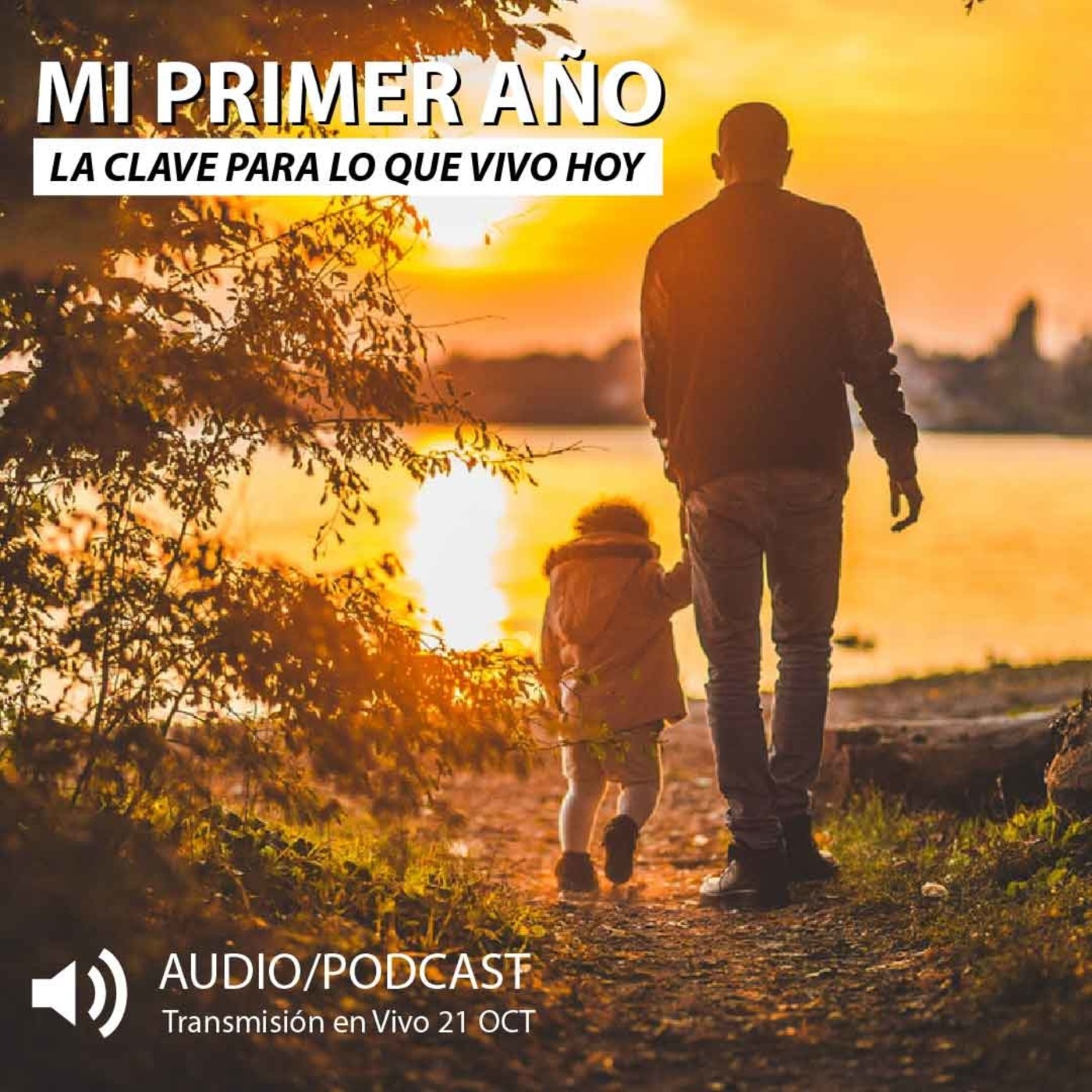 Inteligencia Emocional y Transcendente