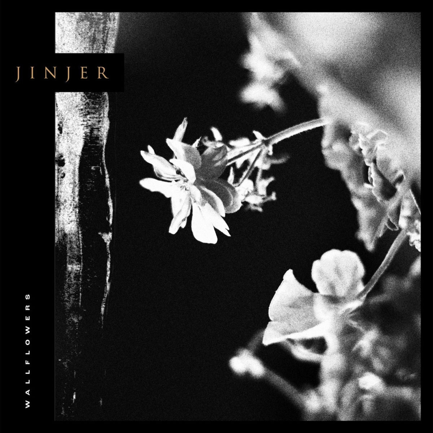 Jinjer - 2021 - Wallflowers