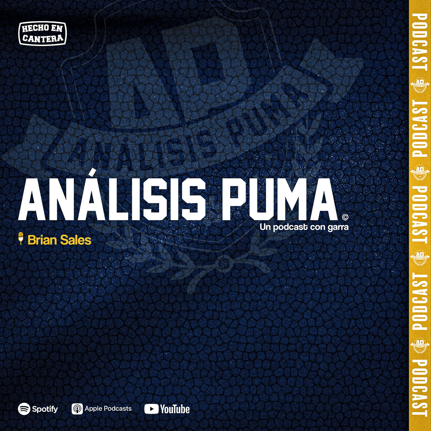 ¿El Puma que sorprende podrá con Tigres?