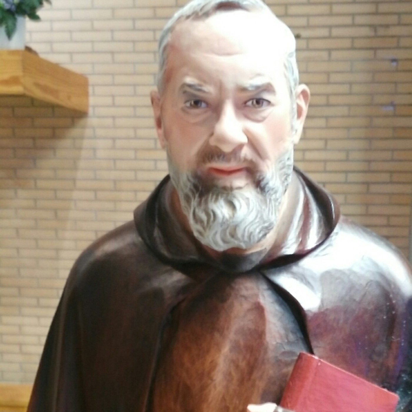 Grupo Oracion Padre Pío Nuestra Señora del Rosario