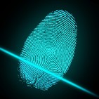 Entorno digital de las empresas y cumplimiento normativo penal