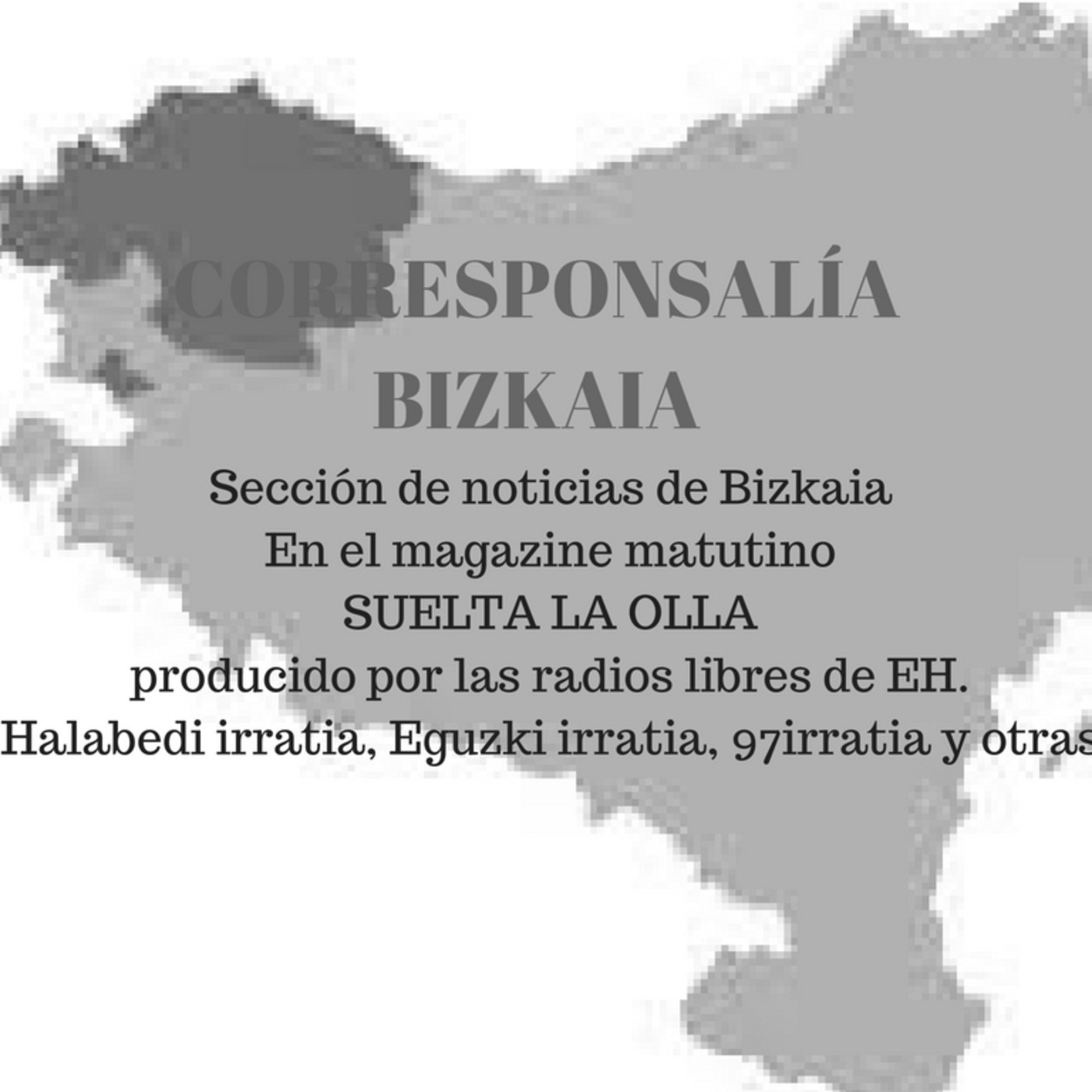 corresponsalía bizkaia
