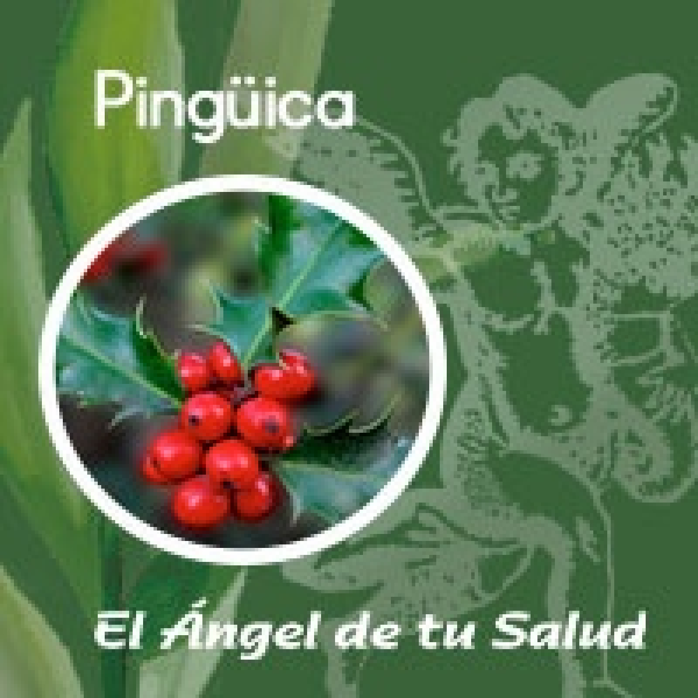El Ángel de tu Salud - Pinguica** episode artwork