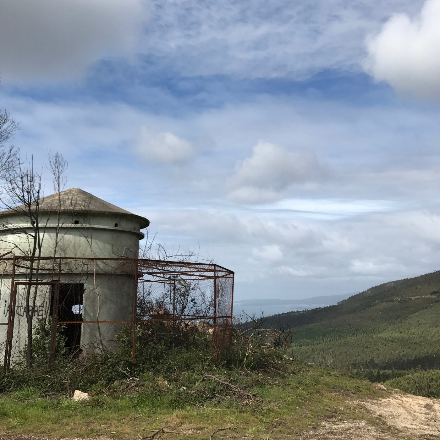 Os cantos do vagalume