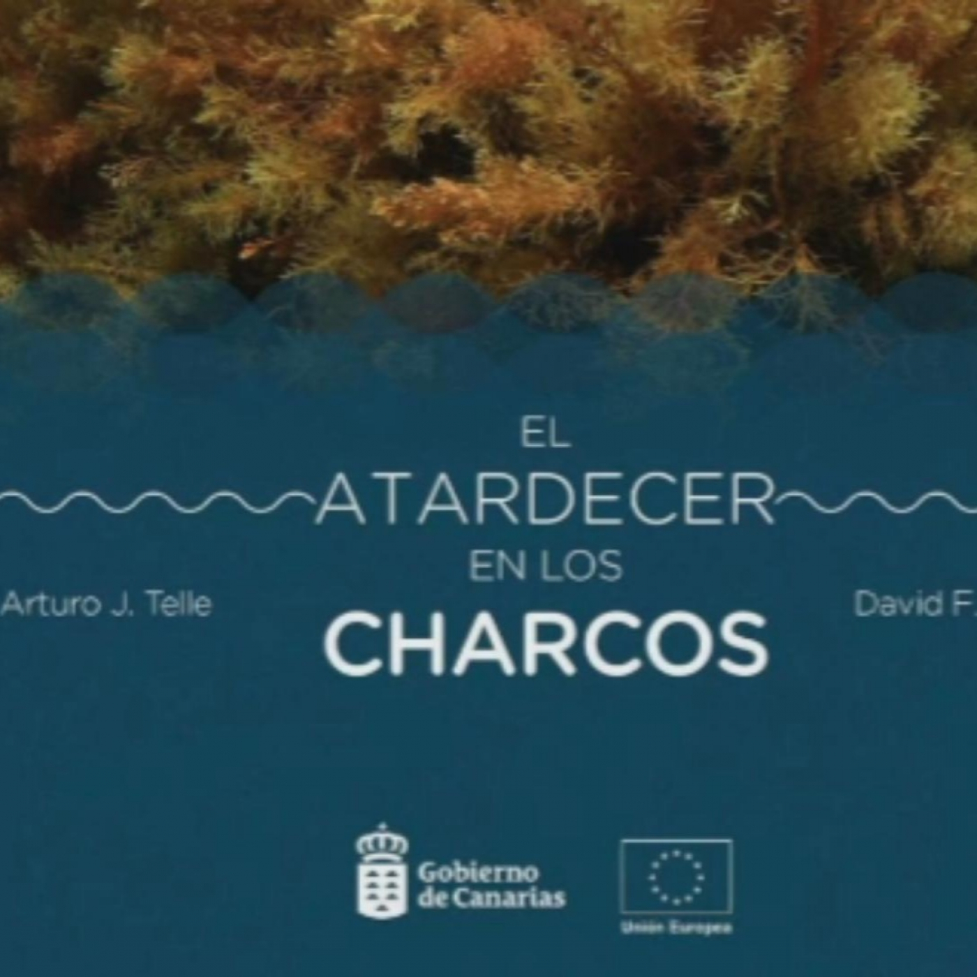 "El atardecer en los charcos" en Danimalicos episode artwork