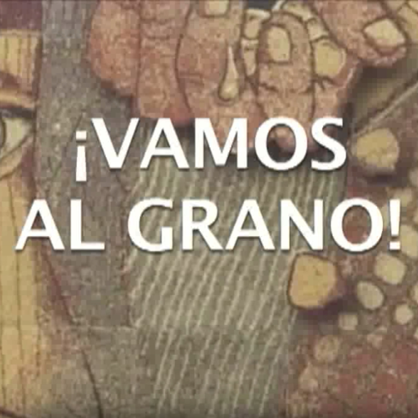Vamos al grano. Cuidado con el maíz transgénico.