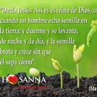 Padre John- Reflexión evangelio madrugada del 01 de Febrero de 2019