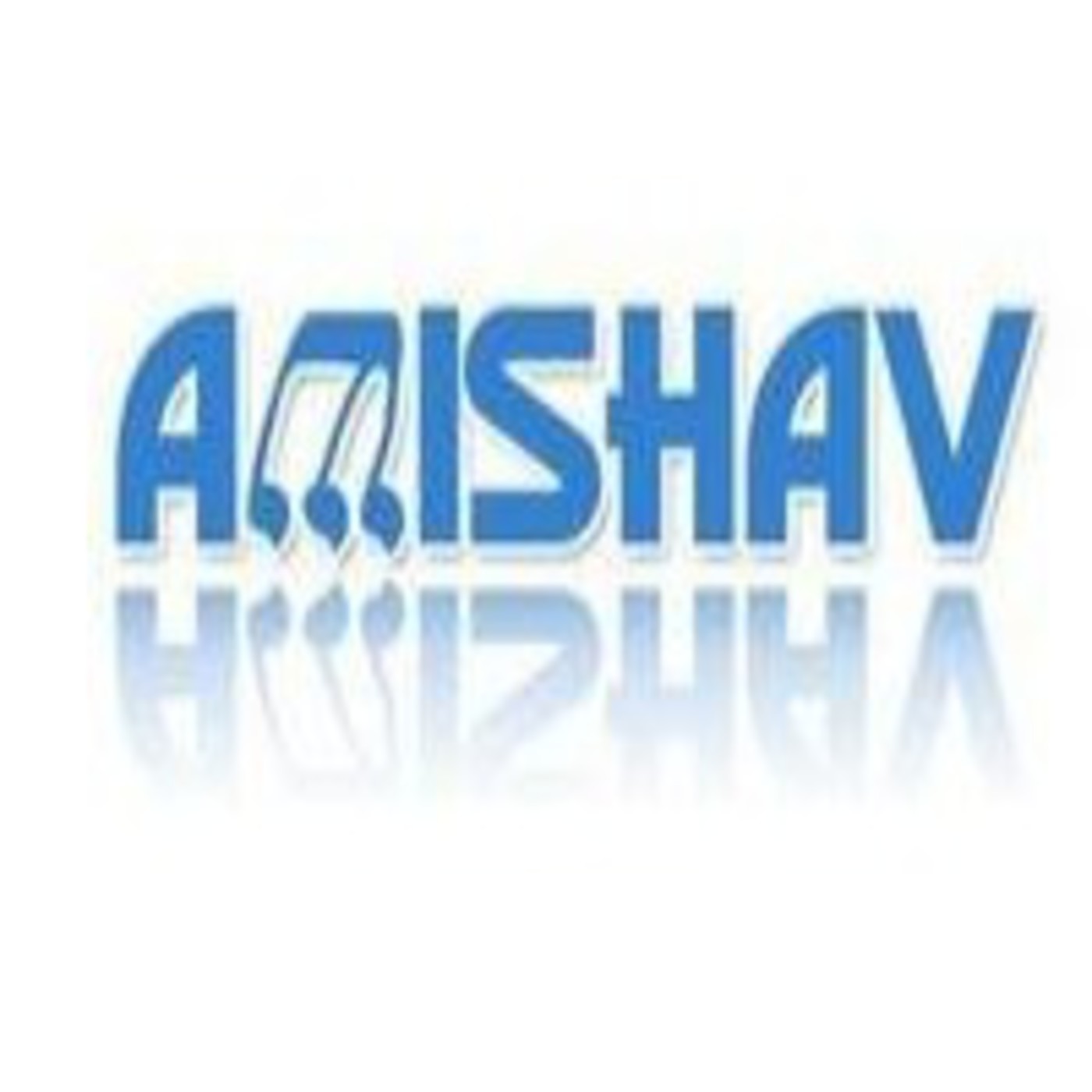La cuenta del Omer AMISHAV 2012