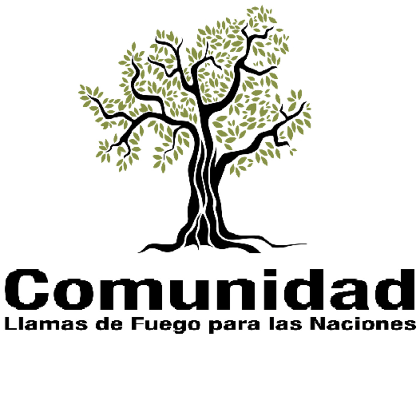 Estudios de la Parashat