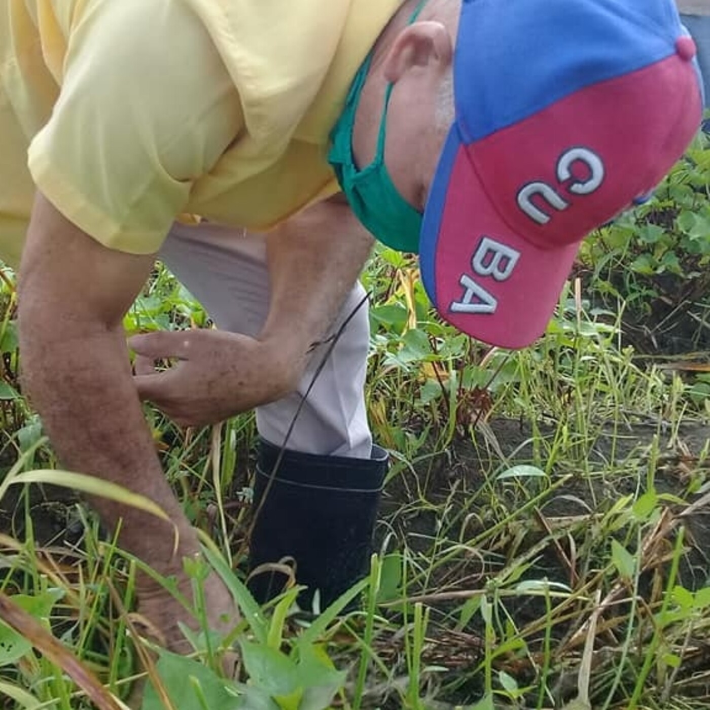 Por mayor producción de alimentos en Mella