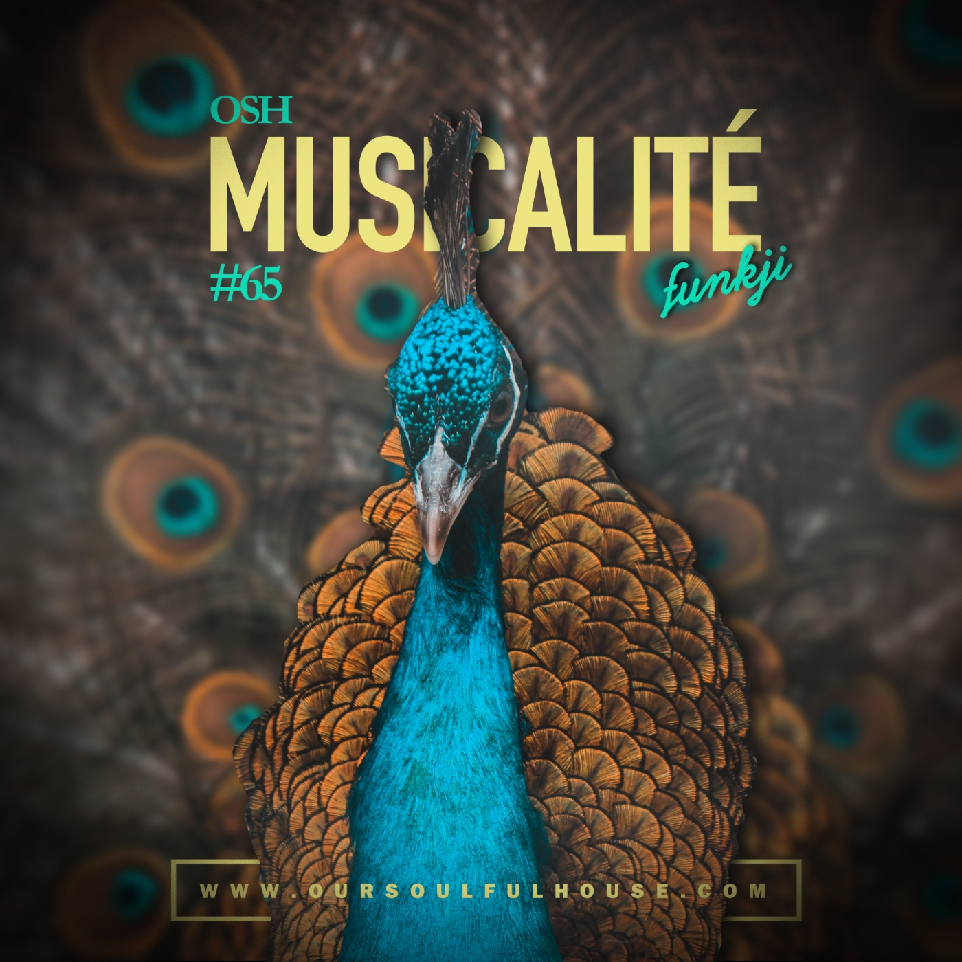 MUSICALITÉ sessions - OSH