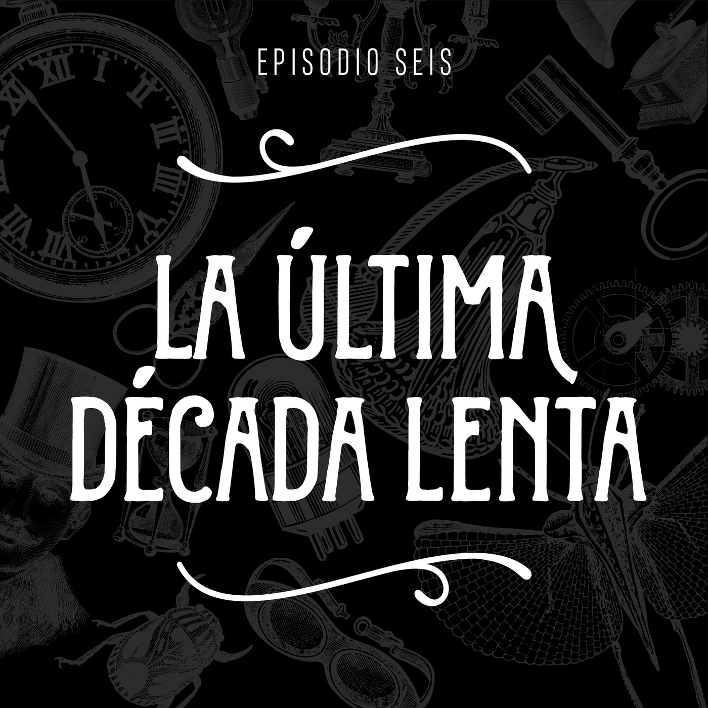Gabinete de curiosidades
