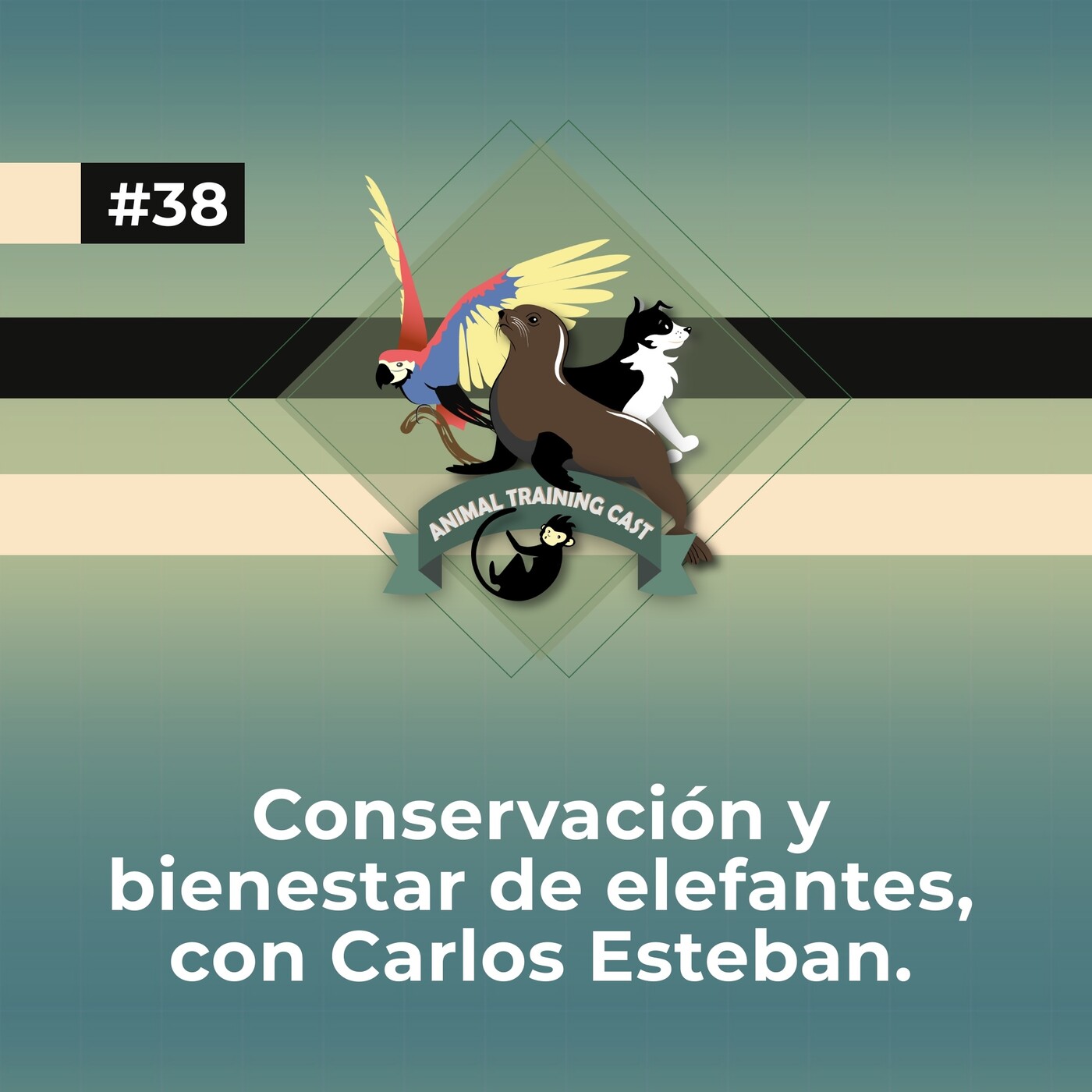 38. Conservación y bienestar de elefantes, con Carlos Esteban.